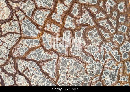 High resolution image showcasing intricate dried mud textures with cracked patterns and earthy tones. Stock Photo