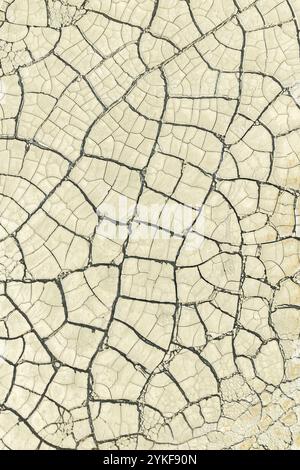 A close up shot of dry, cracked mud, showcasing intricate patterns and textures ideal for background use. Stock Photo
