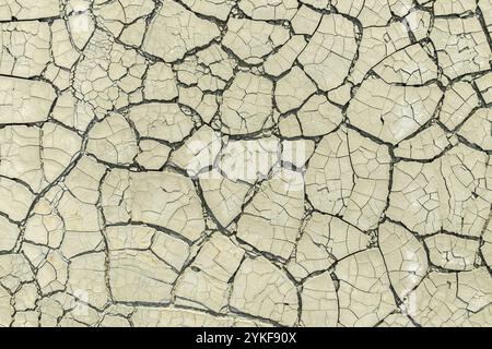 A natural cracked mud surface providing an intricate pattern of dry, arid earth, ideal for background and texture uses. Stock Photo