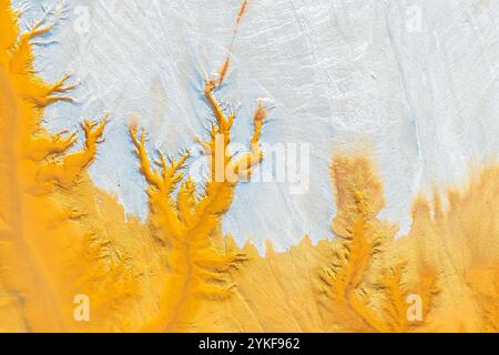 Abstract textured background reminiscent of trees, with vibrant yellow and blue hues, created by mud patterns. Stock Photo