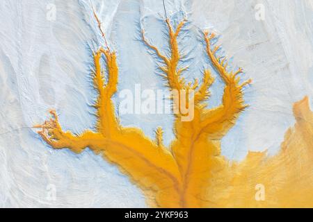 Stunning aerial perspective of mud tree formations creating a natural abstract art on a textured earthy surface. Stock Photo