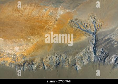 An aerial view of mud patterns resembling trees, creating a unique abstract texture in warm earthy tones. Stock Photo