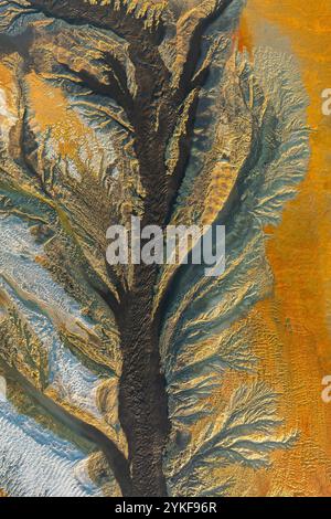 An aerial shot captures the intricate patterns and earth-toned textures of a mud landscape resembling tree branches. Stock Photo