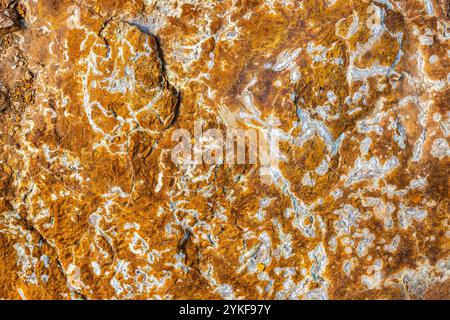 High-resolution image showing the detailed, rich patterns and textures on sulfur rocks, characterized by vivid orange and white hues Stock Photo