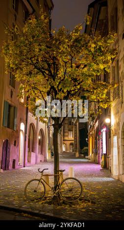 A serene night scene on a cobblestone street in Geneva, featuring a golden-leaved tree illuminated by street lamps with a vintage bicycle parked under Stock Photo