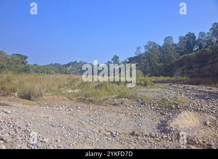 Riverbed in the dry season, Jim Corbett National Park, Uttarakhand, India. Stock Photo