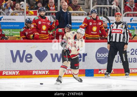 17.11.2024, Eishockey: Penny DEL, Saison 2024/2025, 17. Spieltag, Duesseldorfer EG - Nuernber Ice Tigers im PSD Bank Dome in Duesseldorf. Marcus Weber (Nuernberg Ice Tigers, #24) versucht es mit einem Fernschuss. Die Bank der Duesseldorfer schaut gespannt zu. Foto: Kirchner-Media/TH Stock Photo