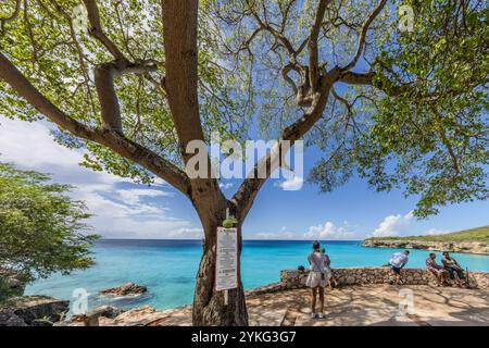 Warning about the poisonous Manchineel tree on the beach and in the Grote Knip lagoon , Willemstad, Curaçao, Kòrsou Stock Photo