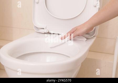 Antibacterial Flushable Bathroom Cleaner Wipes. Wet cleaning. Disinfectant toilet Stock Photo