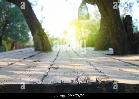 View of blurred garden background from vintage wooden table among old trees. Stock Photo