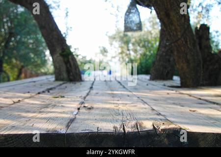 View of blurred garden background from vintage wooden table among old trees. Stock Photo