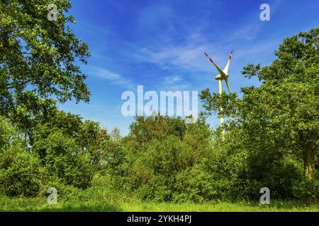 North German agricultural field wind turbines and nature landscape panorama in Lower Saxony Germany Stock Photo