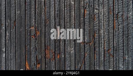 Burnt vertical wood planks texture on a bright sunny day. Background of charred wooden boards. Scorched wooden plank became black by heat and fire. Stock Photo