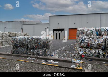 Used plastic milk bottles and cartons that have been bundled into stacked bales and ready for recycling at an industrial plastic waste recycling plant Stock Photo