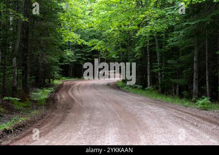 Winding dirt road through the lush forest of Pictured Rocks National Lakeshore on the Upper Peninsula of Michigan Stock Photo