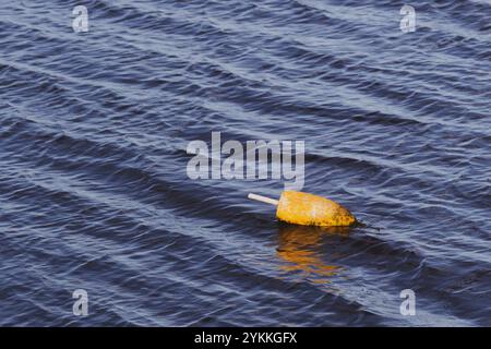 Lobster Fishing Buoy Floating in the Ocean Rippled Water Stock Photo