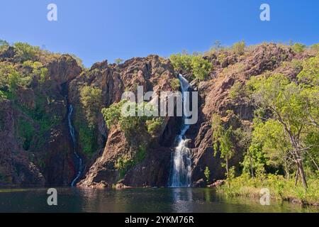 The Wangi Falls a popular swimming spot, has two misty waterfalls filling the huge swimming hole. The waterfalls create a natural plunge pool in the r Stock Photo