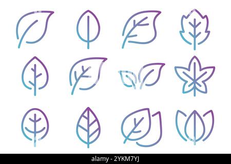 Natural set gradient outline leaves and branches icons.Vector ...