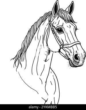 A Detailed Line Drawing Of A Horse s Head With A Bridle Perfect For A 