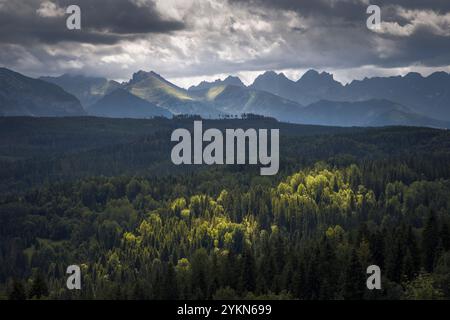 A stunning landscape of Tatra National Park with lush green forests and the Carpathian Mountains under dramatic skies in Poland. Captures the essence Stock Photo