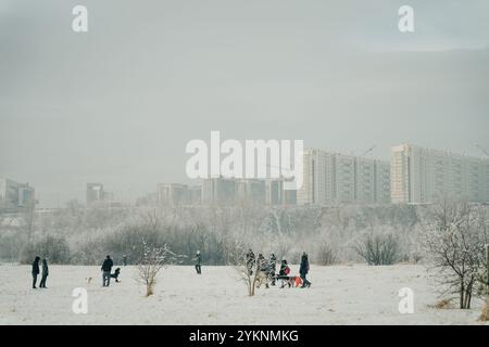 People with dogs walking on a highway covered in snow during heavy snowfall. . High quality photo Stock Photo