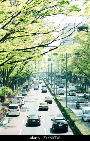 Fresh green Omotesando Stock Photo