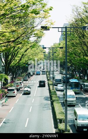 Fresh green Omotesando Stock Photo