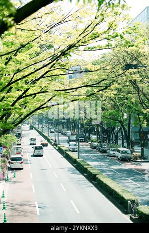 Fresh green Omotesando Stock Photo