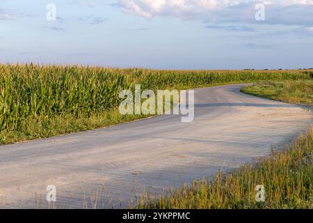 road in the summer at sunset, a country road for transport along the roadsides there are agricultural fields Stock Photo
