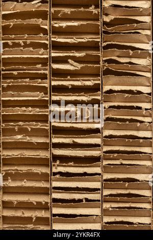 Corrugated cardboard lengths background backdrop. Cardboard packaging for business and industrial use, biodegradable and environmentally friendly. Stock Photo
