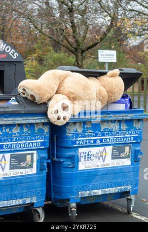 A large teddy bear thrown away in a paper & cardboard recycling bin Stock Photo