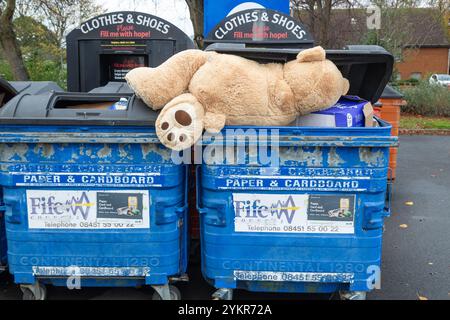 A large teddy bear thrown away in a paper & cardboard recycling bin Stock Photo