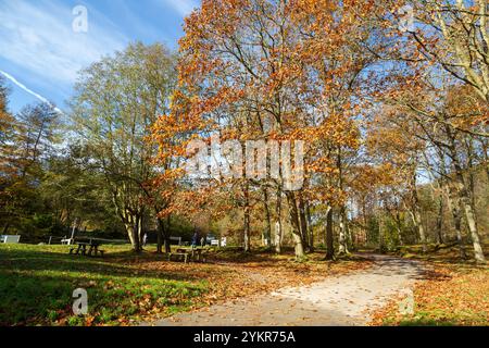 The car park and start of walks at Moel Famau Country Park, Mold, Wales Stock Photo