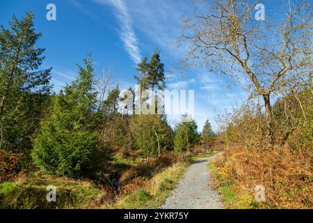 The car park and start of walks at Moel Famau Country Park, Mold, Wales Stock Photo