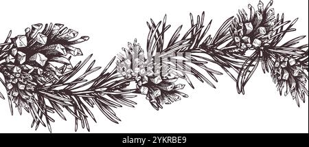 Branches of fir, spruce, pine with cones. Graphic illustration, hand drawn with brown ink, line art monochrome. Seamless border, pattern, garland on Stock Vector