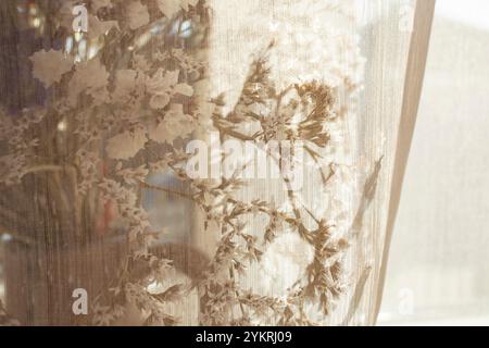 See thru window drapes with dry flowers, sun light and shadows, soft focus close up, Stock Photo