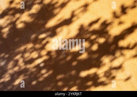 Lush plant shadows on orange wood texture, minimal cosmetic  background Stock Photo
