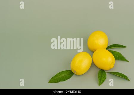 Three lemons with leaves on a green background Stock Photo