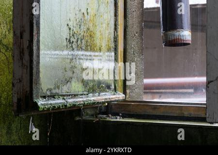 Open window in abandoned building during rainfall, window covered with mold and moss and bronek drain pipe Stock Photo