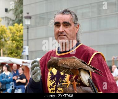 A bird handler in medieval costume with a Harris's hawk Parabuteo unicinctus during a display of birds of prey at the El Cid fiestas Burgos Spain Stock Photo