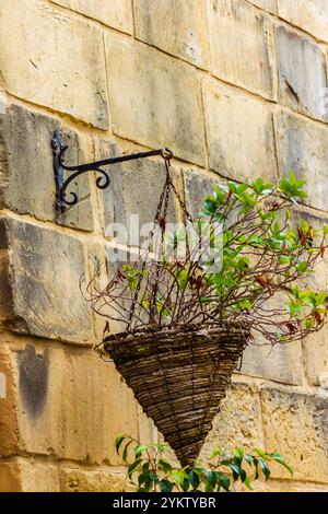 Rustic Hanging Plant Basket on Stone Wall With Greenery Stock Photo