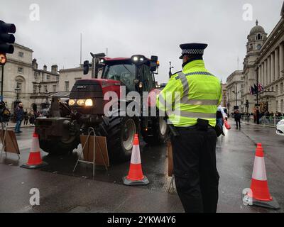 Whitehall, London, UK. 19th November, 2024  Farmers descend on Central London to protest inheritance tax change proposals.    © Simon King/ Alamy Live News Stock Photo