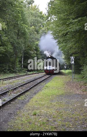 Selketalbahn, Harzer Schmalspurbahn, Brockenbahn runs through the Harz Mountains, Saxony-Anhalt, Germany, Europe Stock Photo