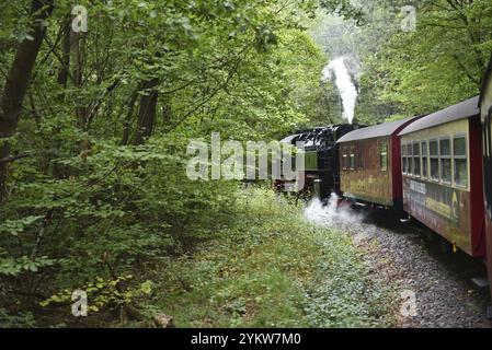 Selketalbahn, Harzer Schmalspurbahn, Brockenbahn runs through the Harz Mountains, Saxony-Anhalt, Germany, Europe Stock Photo