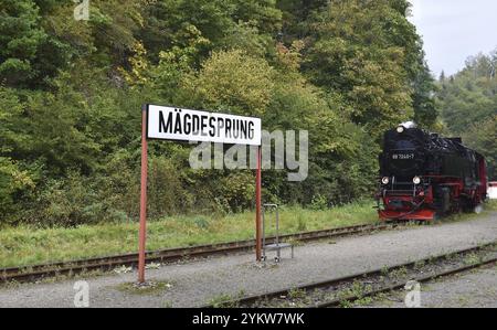 Selketalbahn, Harzer Schmalspurbahn, Brockenbahn runs through the Harz Mountains, Saxony-Anhalt, Germany, Europe Stock Photo
