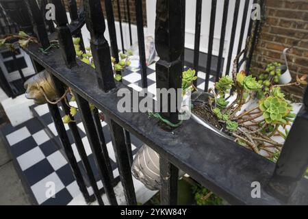 Succulents growing in a plastic bucket hung on a wrought iron fence, Holborn, London Borough of Camden, England, United Kingdom, Europe Stock Photo