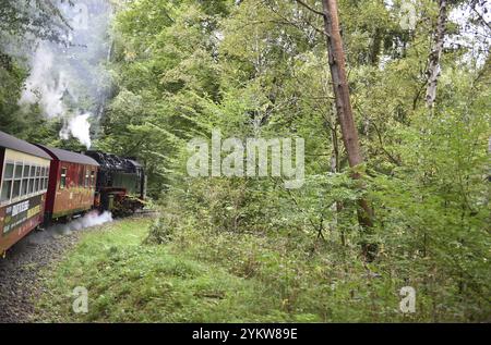 Selketalbahn, Harzer Schmalspurbahn, Brockenbahn runs through the Harz Mountains, Saxony-Anhalt, Germany, Europe Stock Photo