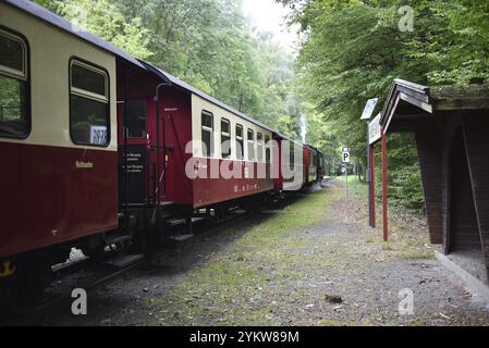 Selketalbahn, Harzer Schmalspurbahn, Brockenbahn runs through the Harz Mountains, Saxony-Anhalt, Germany, Europe Stock Photo
