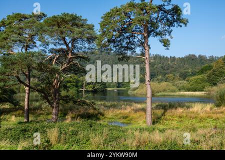 Small boat at the southern tip of Lake Windermere as it turns into the river Leven near Newby Bridge. Lake District, England. Stock Photo