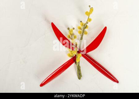 Two red plastic knives and mimosa branch. Top view flat lay. Isolated on white Stock Photo